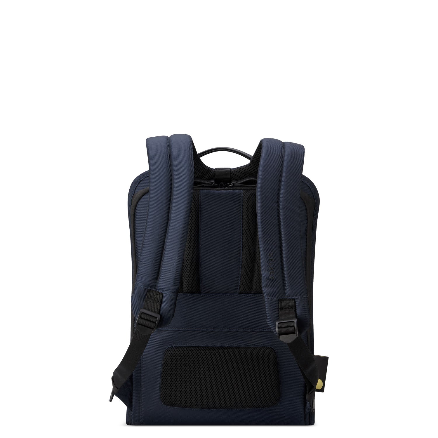 Delsey Paris Arche 2 Compartment Backpack