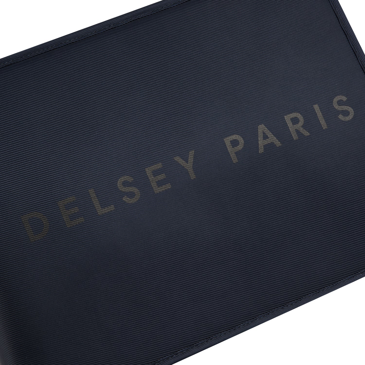 Delsey Paris Arche 2 Compartment Backpack