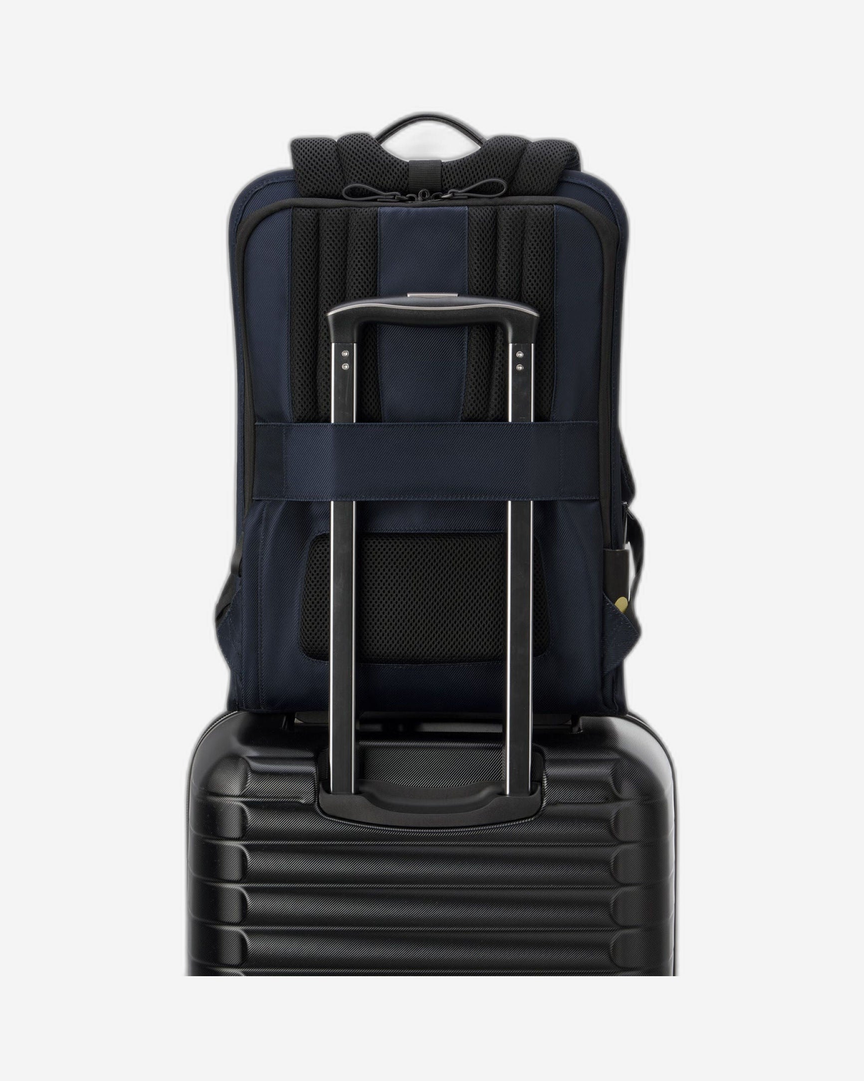 Delsey Paris Arche 2 Compartment Backpack