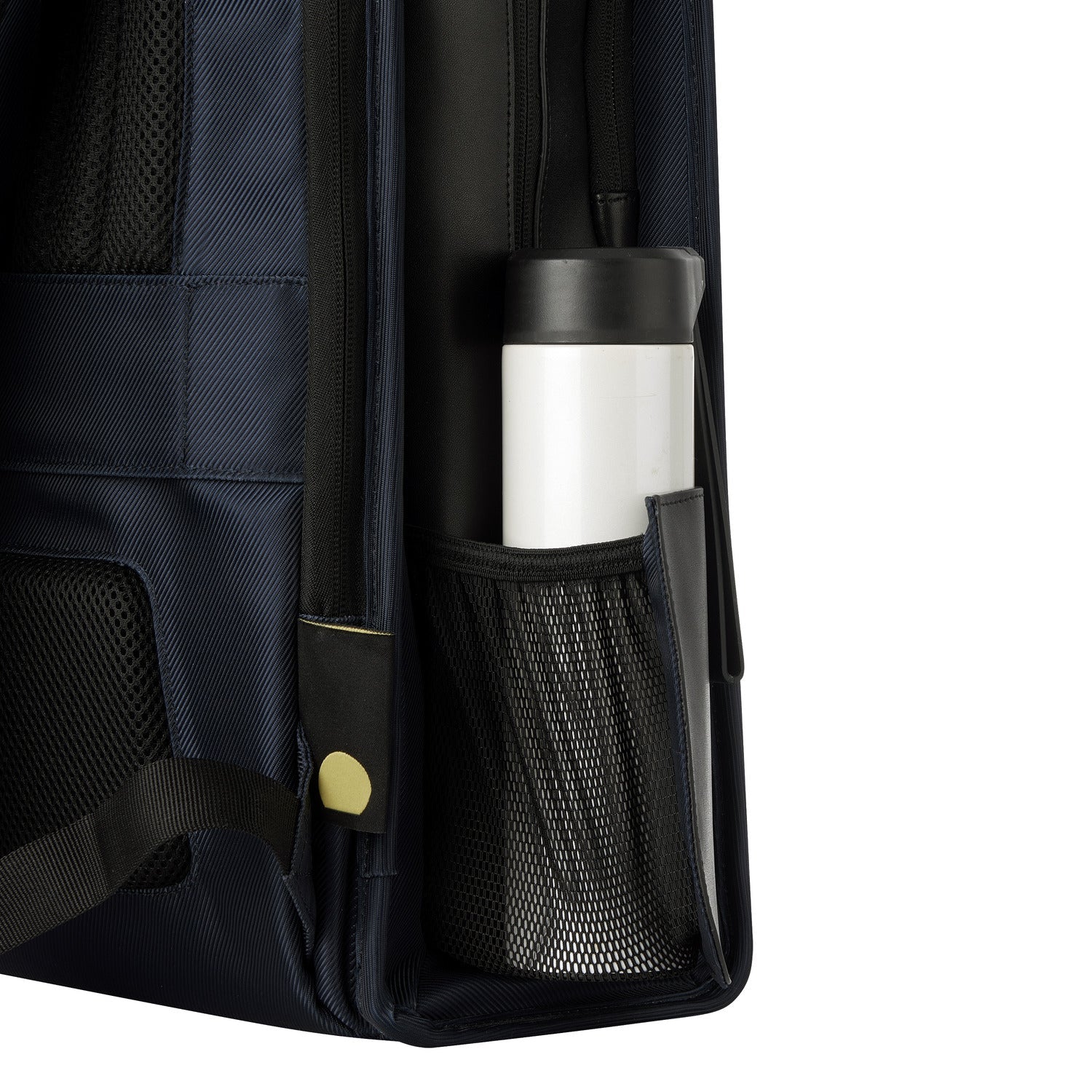 Delsey Paris Arche 2 Compartment Backpack