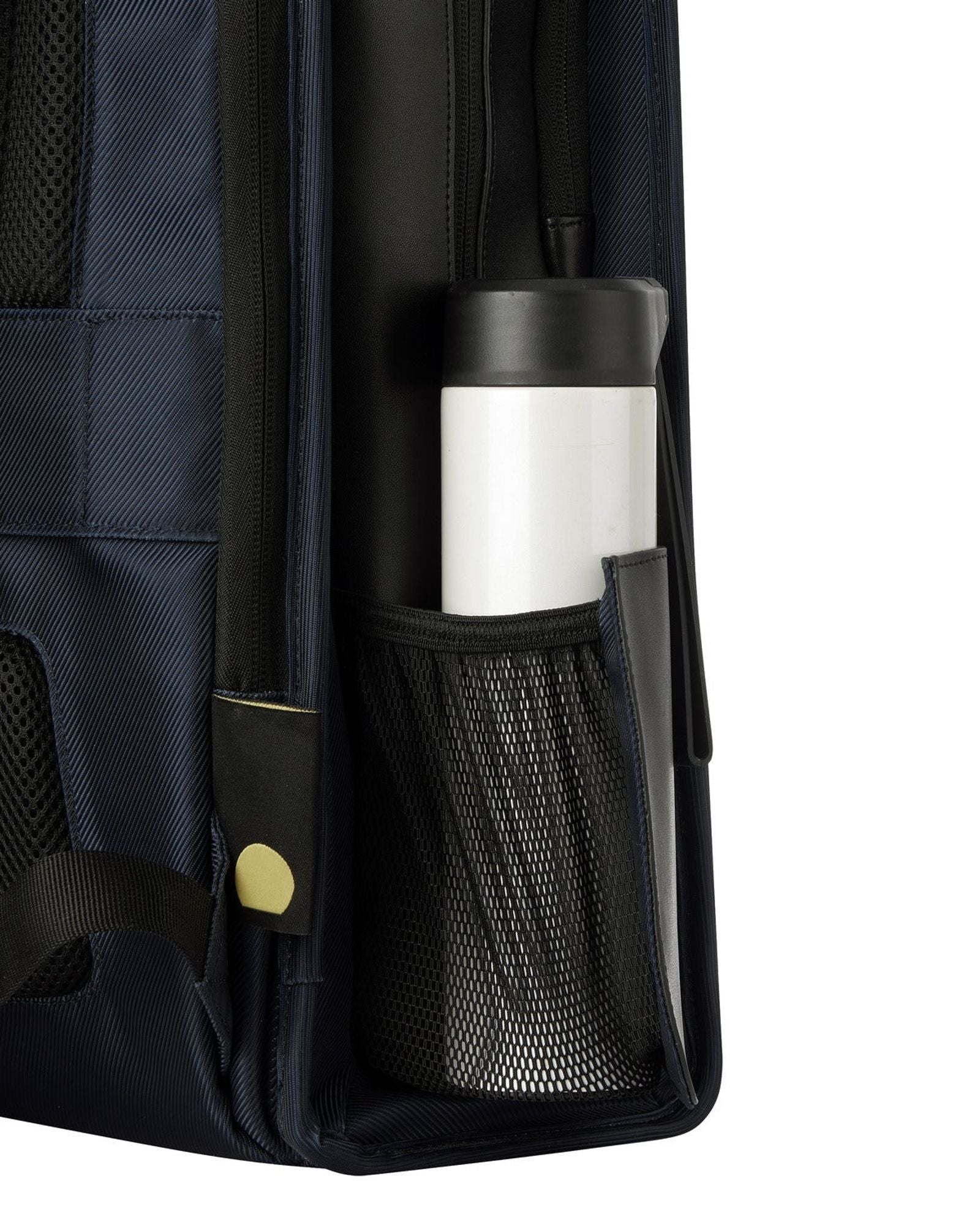 Delsey Paris Arche 2 Compartment Backpack