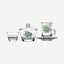 Dimlaj Wurood Drinkware 20Pc Gold & Green