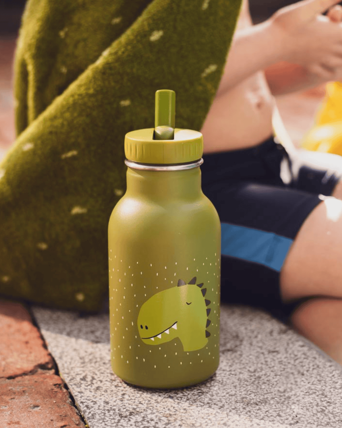 Trixie Double Wall Insulated Water Bottle - 350ml - Mr. Dino