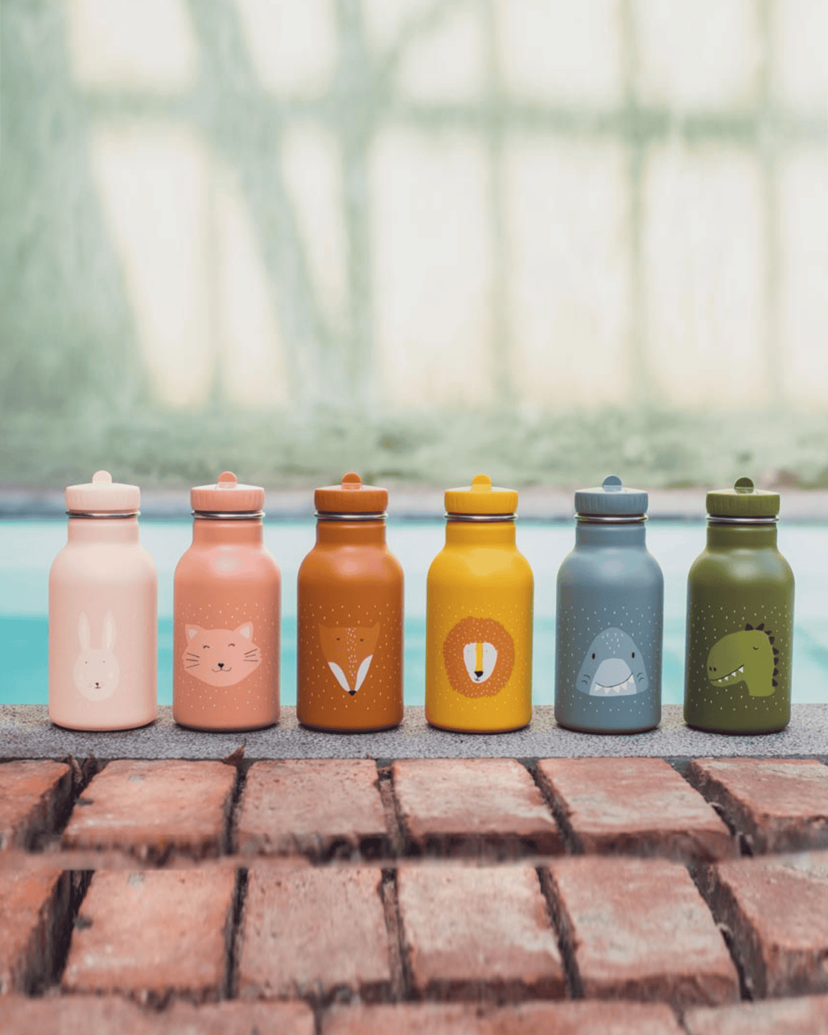 Trixie Double Wall Insulated Water Bottle - 350ml - Mr. Dino