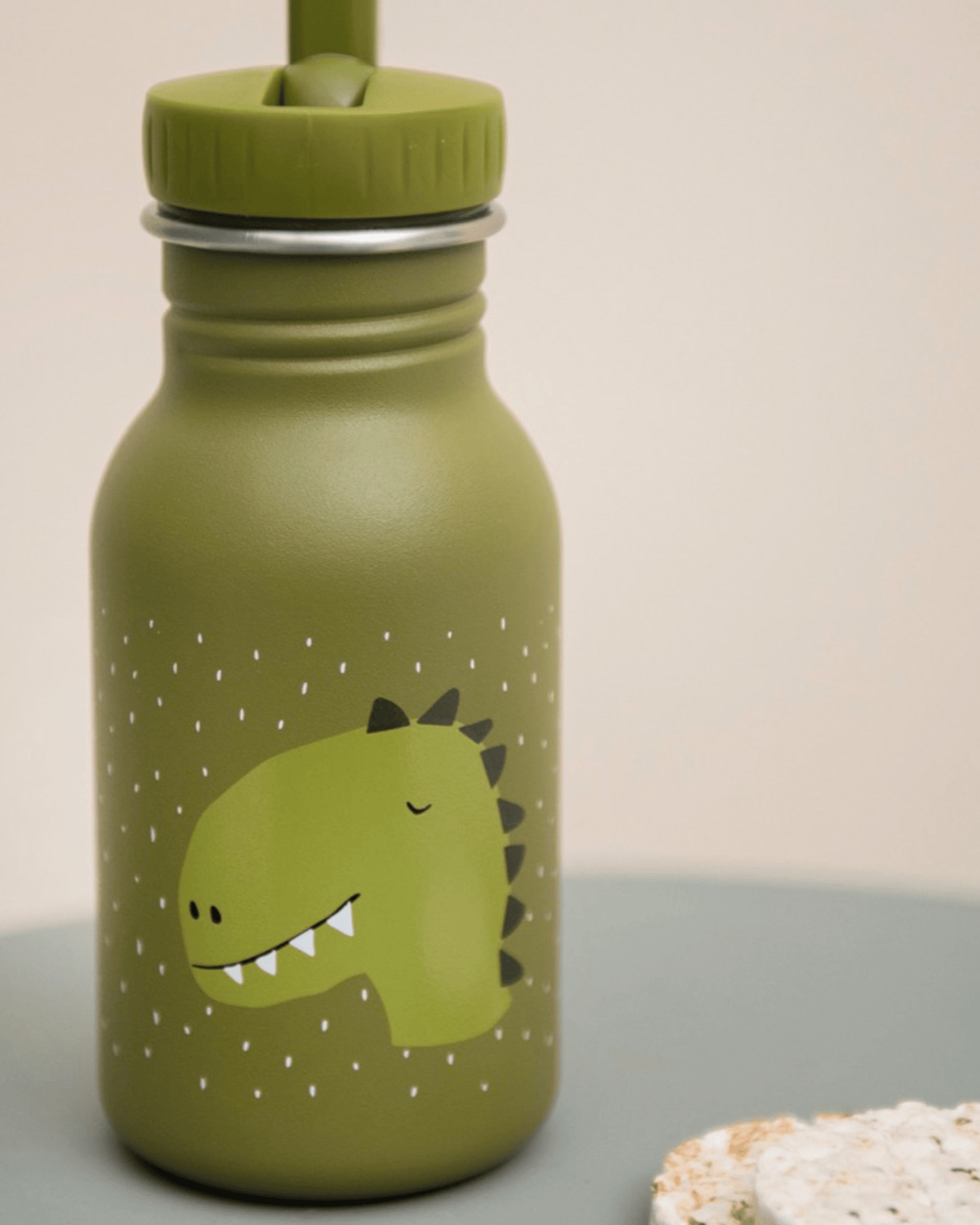 Trixie Double Wall Insulated Water Bottle - 350ml - Mr. Dino