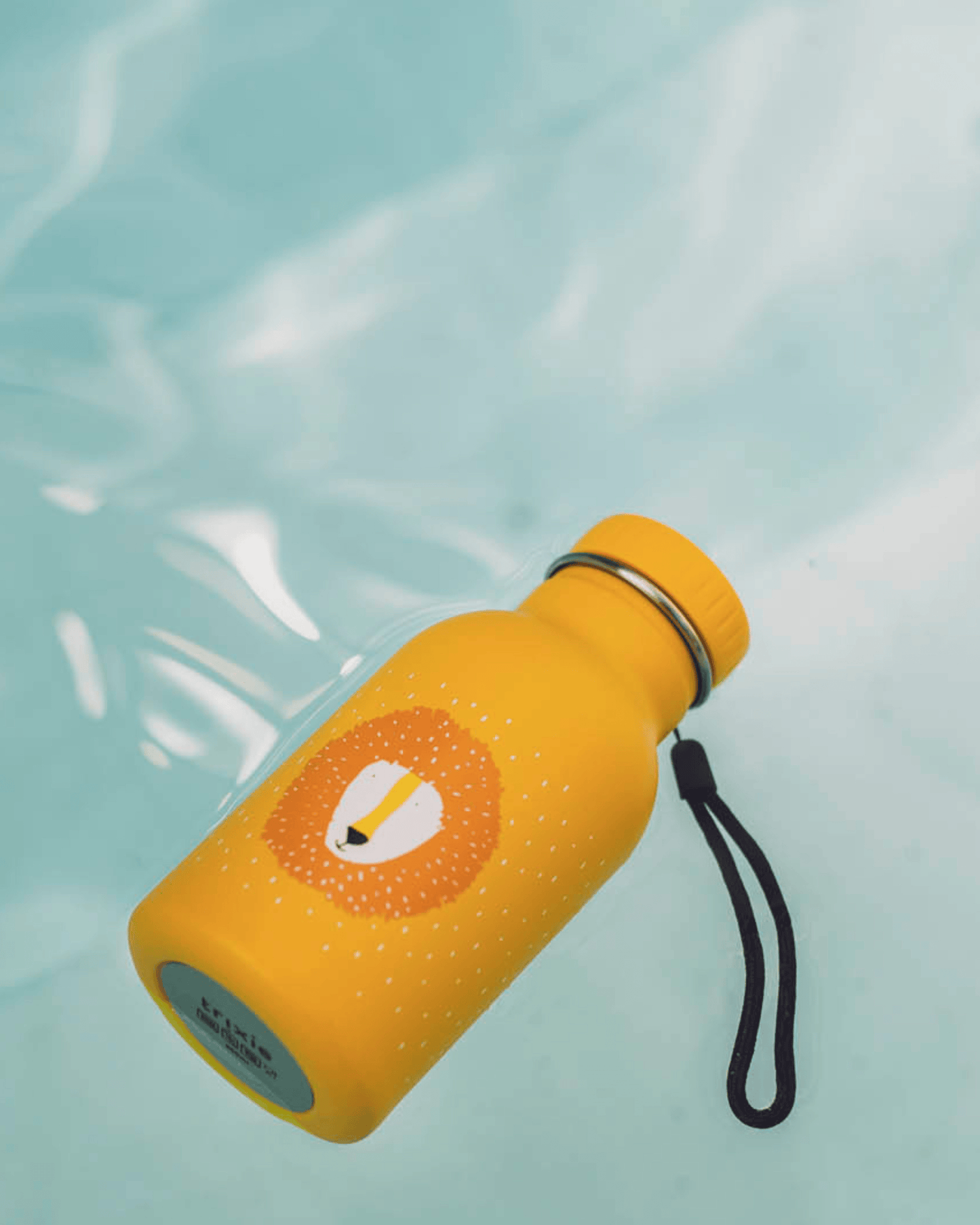 Trixie Double Wall Insulated Water Bottle - 350ml - Mr. Lion