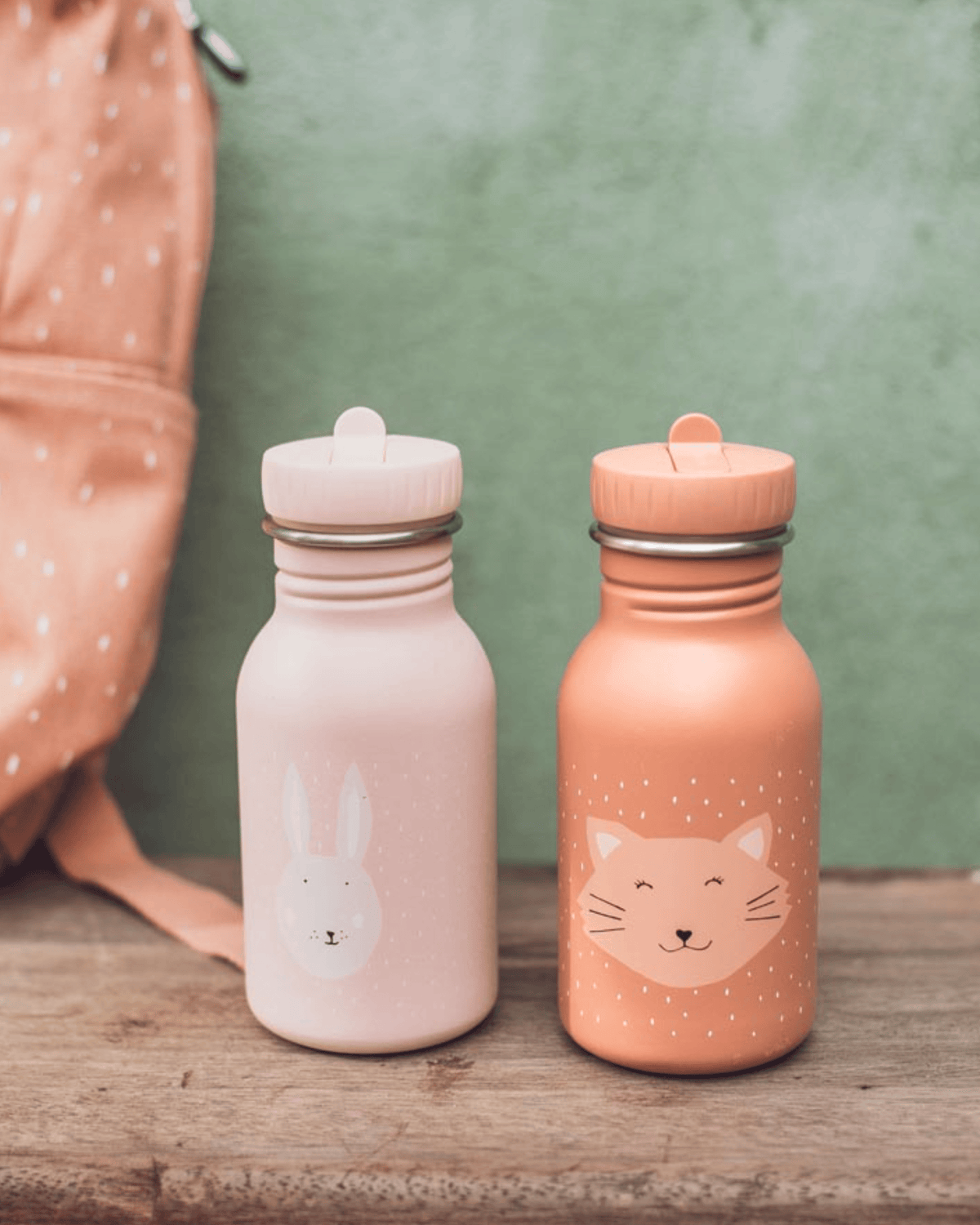 Trixie Double Wall Insulated Water Bottle - 350ml - Mrs. Cat