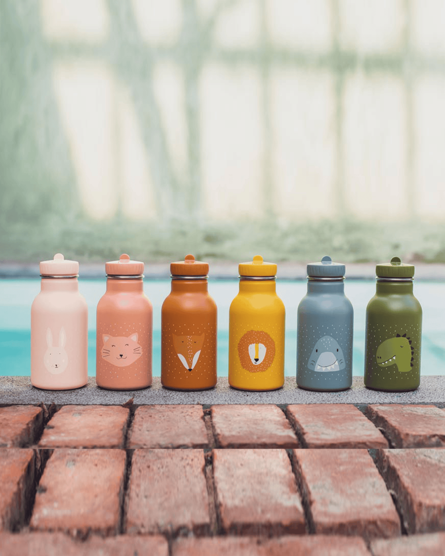 Trixie Double Wall Insulated Water Bottle - 350ml - Mrs. Cat