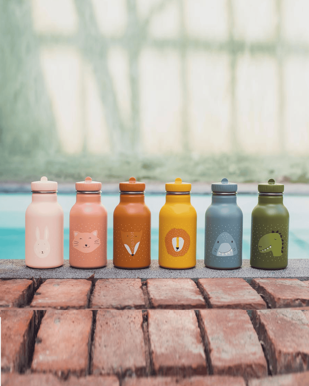 Trixie Double Wall Insulated Water Bottle - 350ml - Mrs. Unicorn
