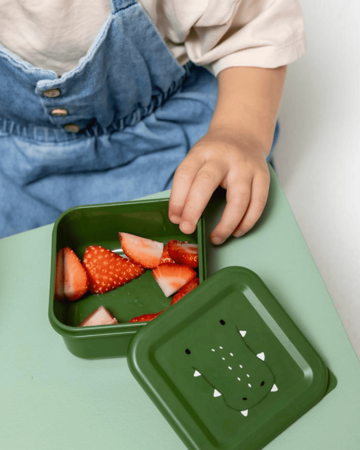 Trixie Snack Box Nesting - Set of 3 - Mr. Alligator