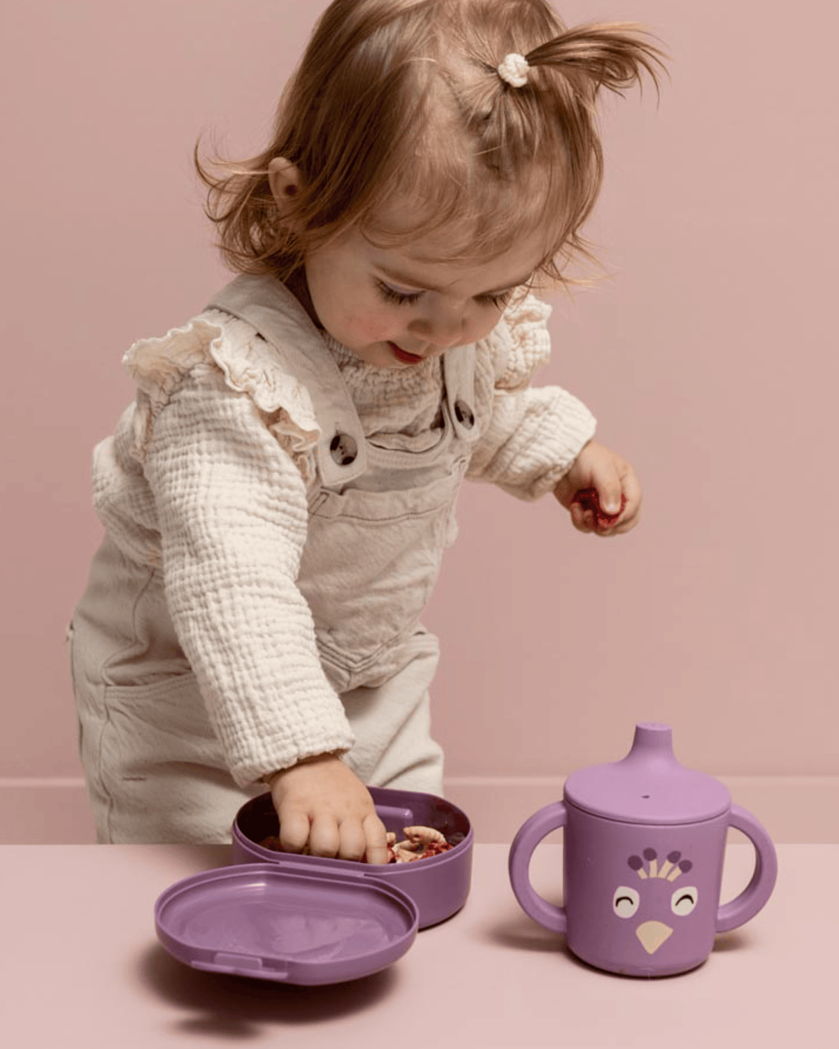Trixie Snack Box With Clip - Set of 2 - Mrs. Peacock
