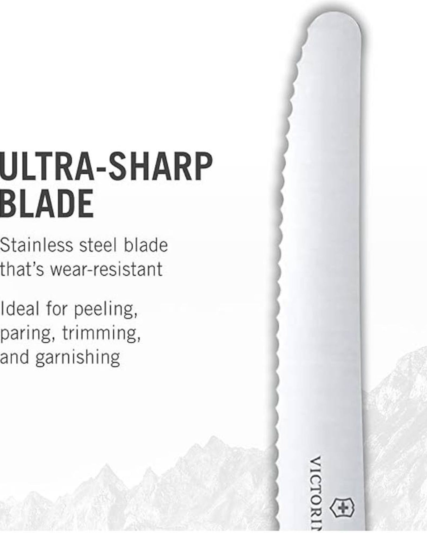 Victorinox Swiss Classic Tomato & Table Knife Set 6Pc Gift