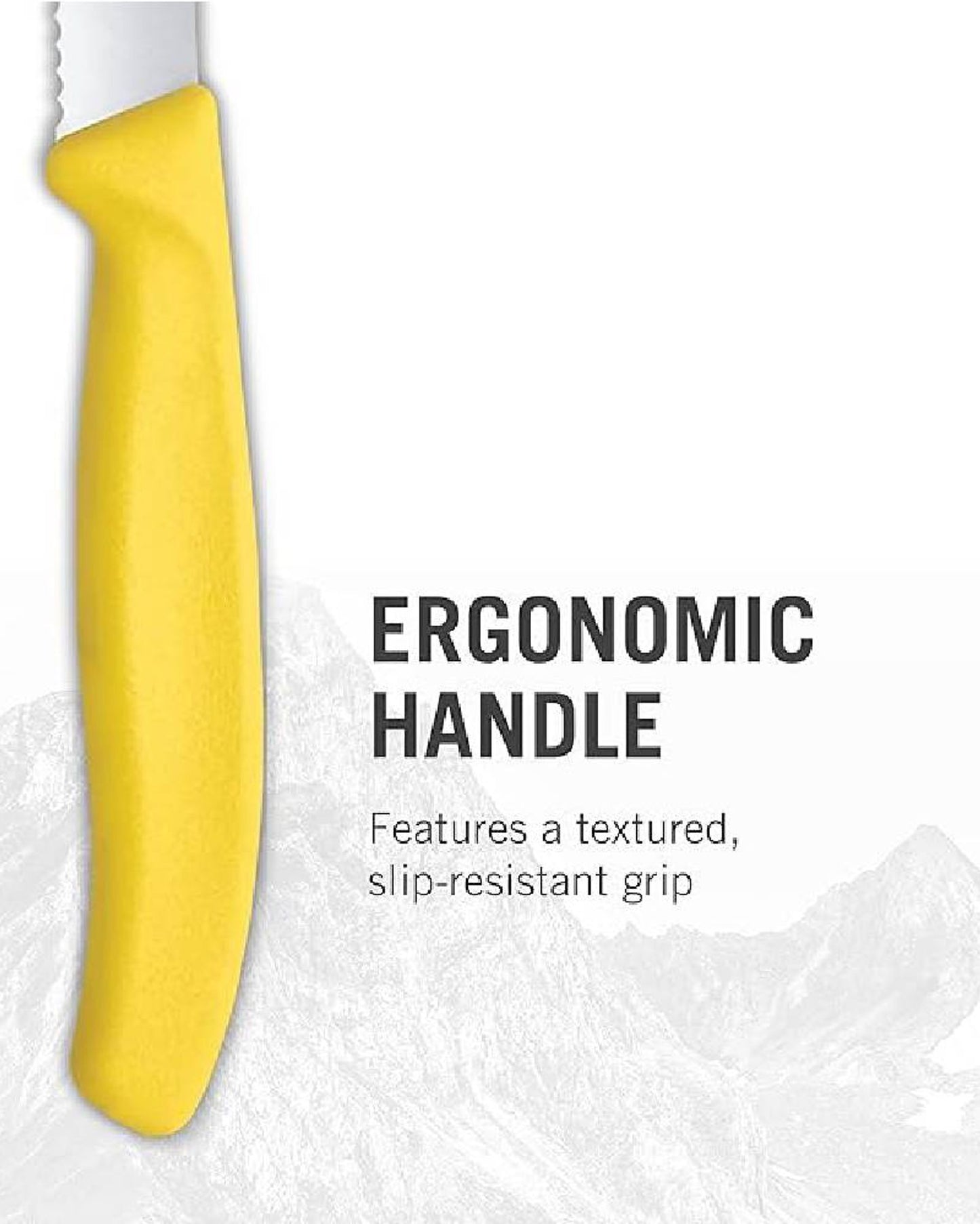 Victorinox Swiss Classic Tomato & Table Knife Set 6Pc Gift