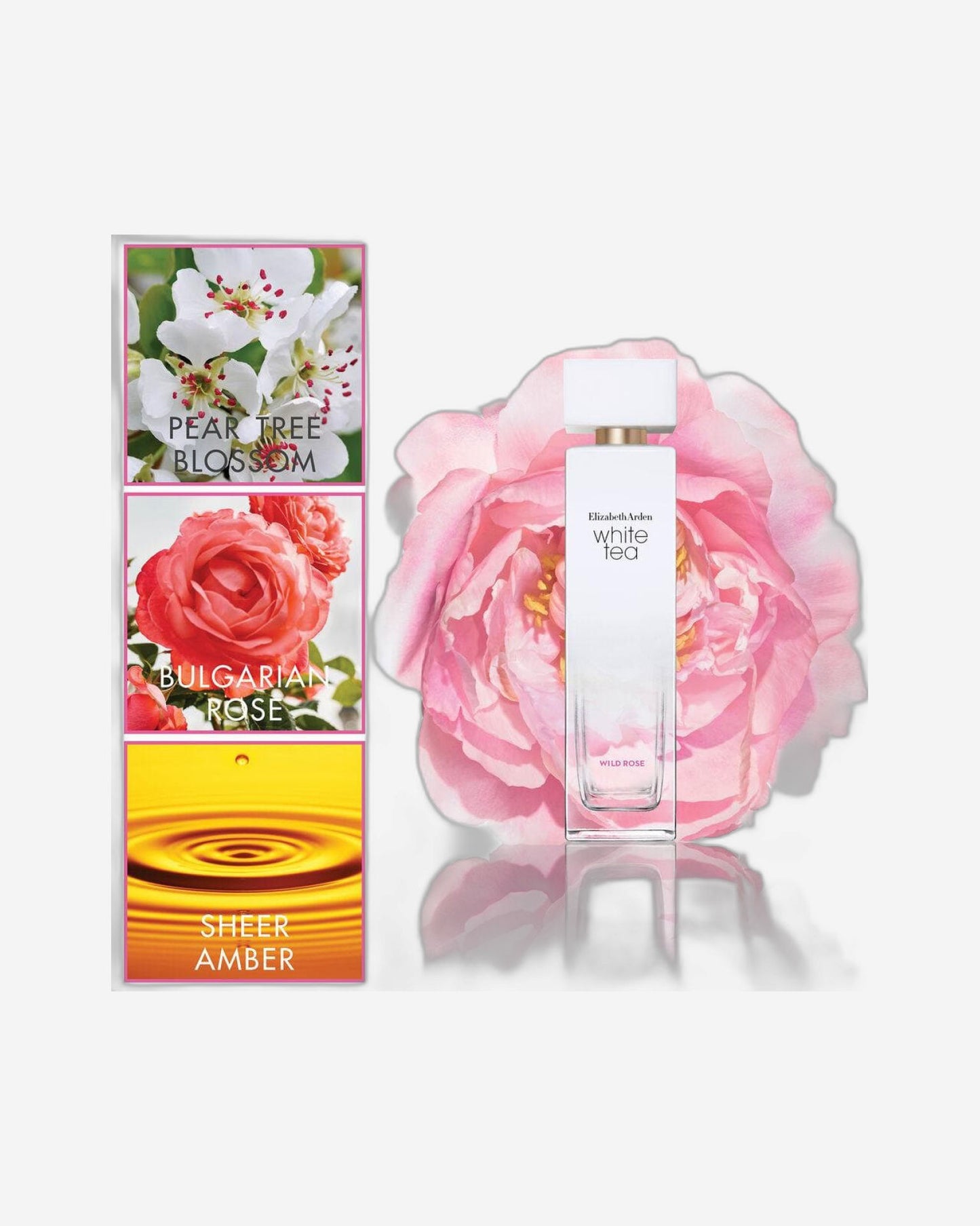 Elizabeth Arden White Tea Wild Rose EDT 100ml