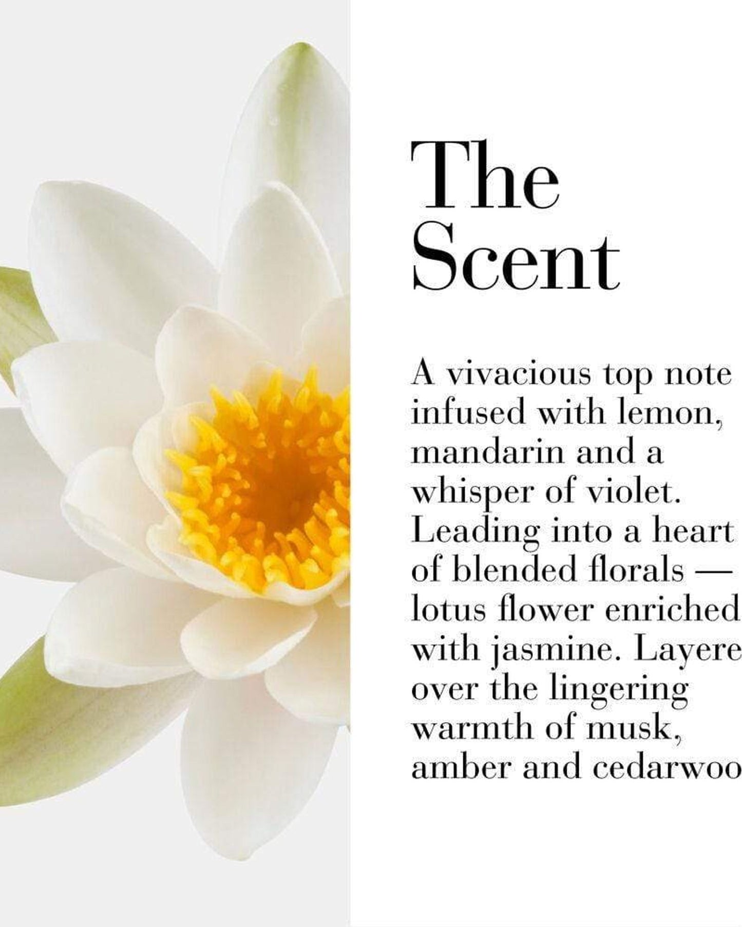 Elizabeth Arden My 5th Avenue 100ml