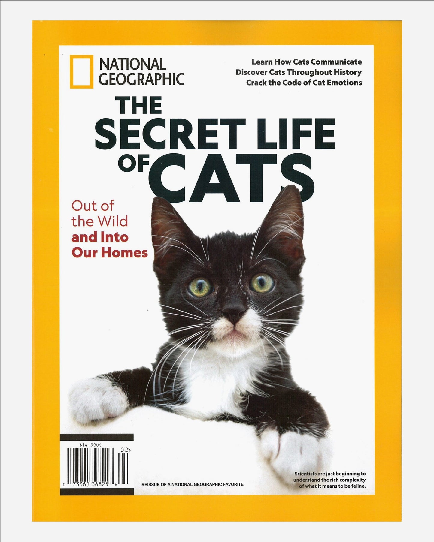 National Geographic Collector SPL (USA): The Secret Life of Cats