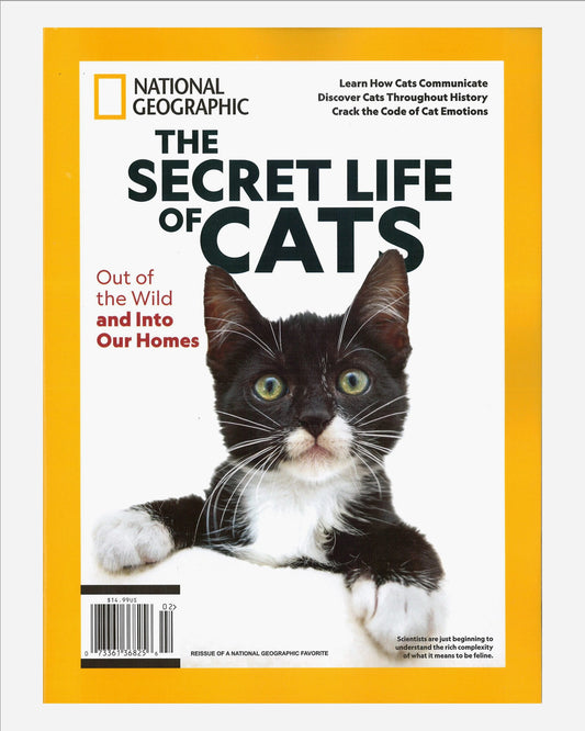 National Geographic Collector SPL (USA): The Secret Life of Cats