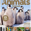 Bz World Of Animals Annual Mf - Magazine