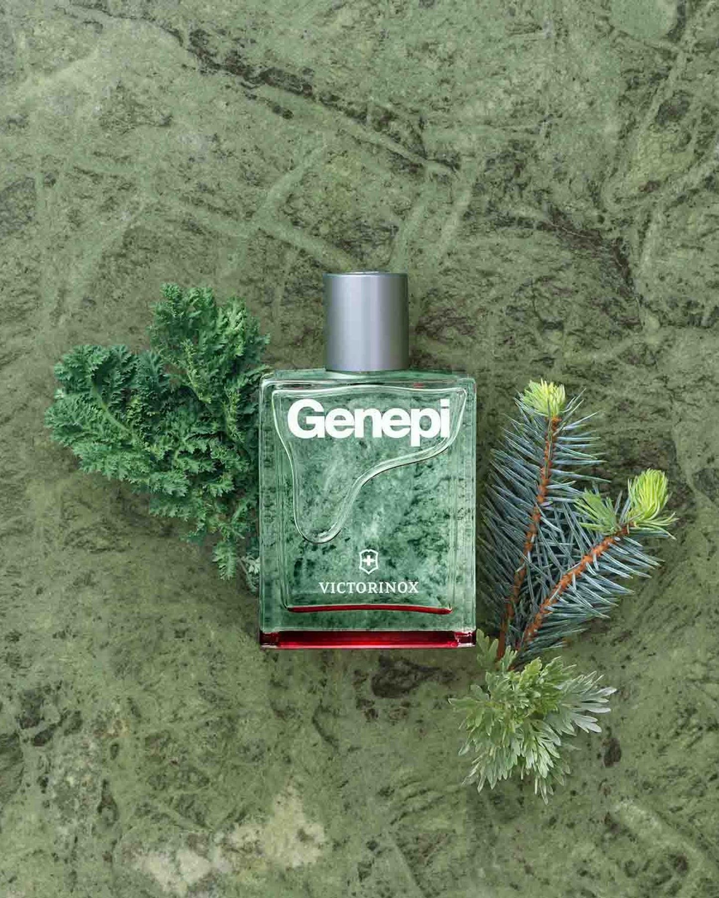 Victorinox Genepi For Him EDT 100ml