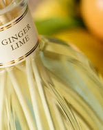 Dr. Vranjes Ginger Lime 500 - FRV0014D