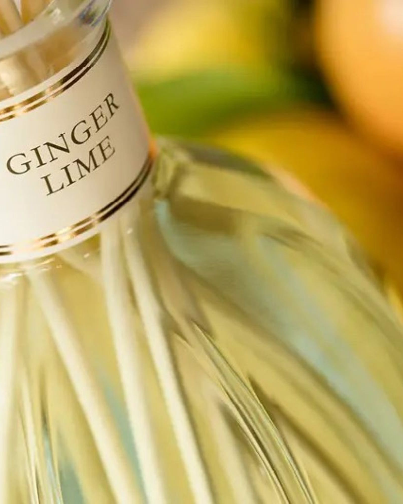 Dr. Vranjes Ginger Lime 500 - FRV0014D