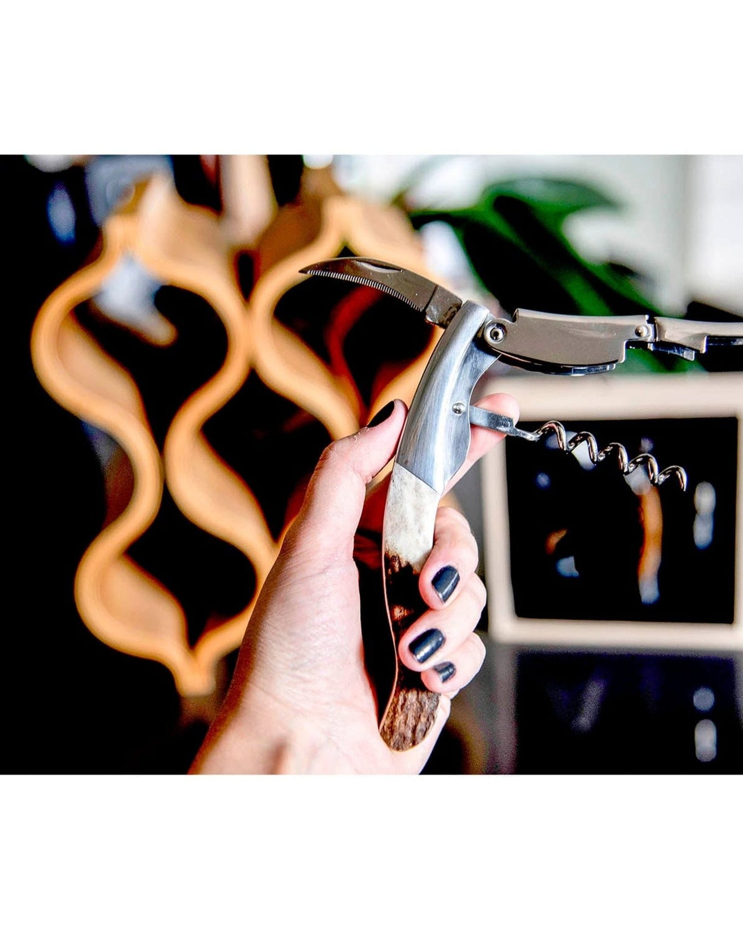 Legnoart Ghemme Sommelier Corkscrew  Luxury Box Wf-1Fx