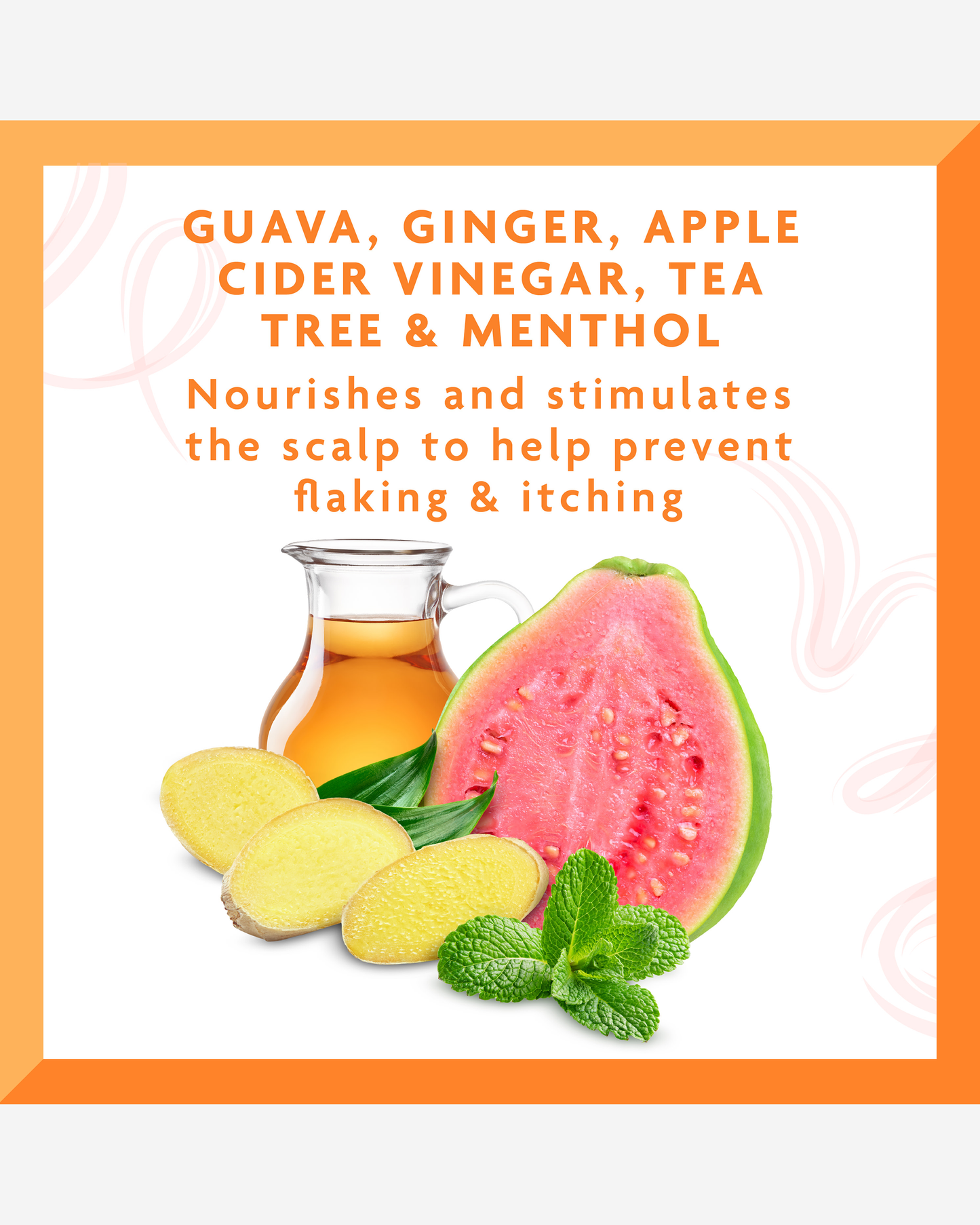 Cantu Guava & Ginger Anti-Dandruff Shampoo 400ml