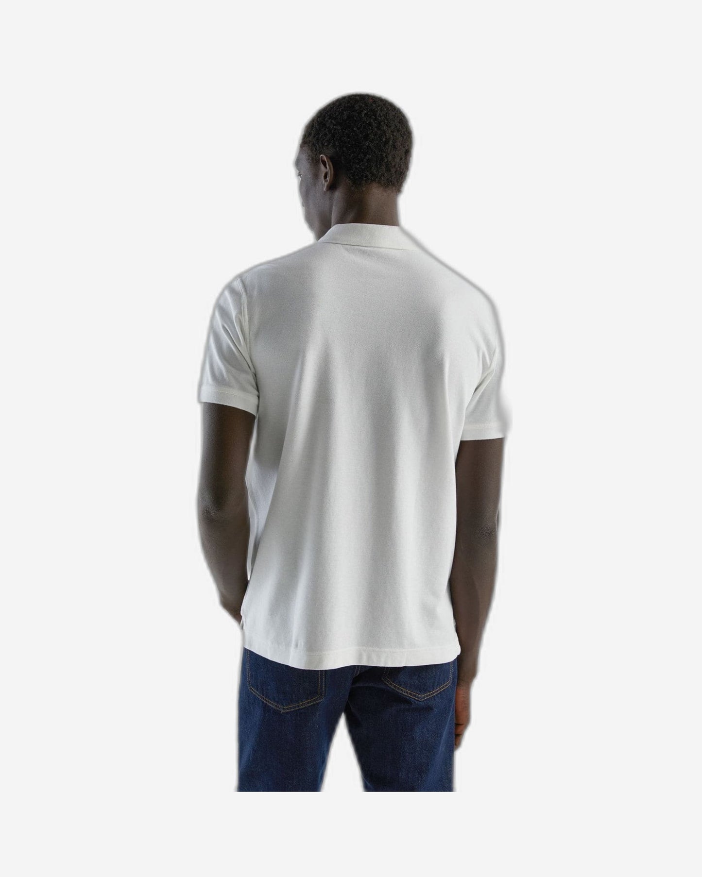 Short sleeve polo in 100% cotton