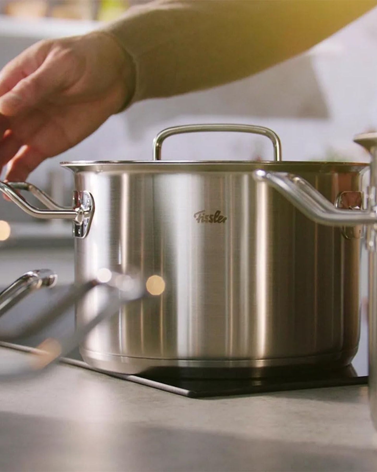 Fissler Original-Profi Collection  Stew Pot With Metal Lid-  084-128-24-000/0