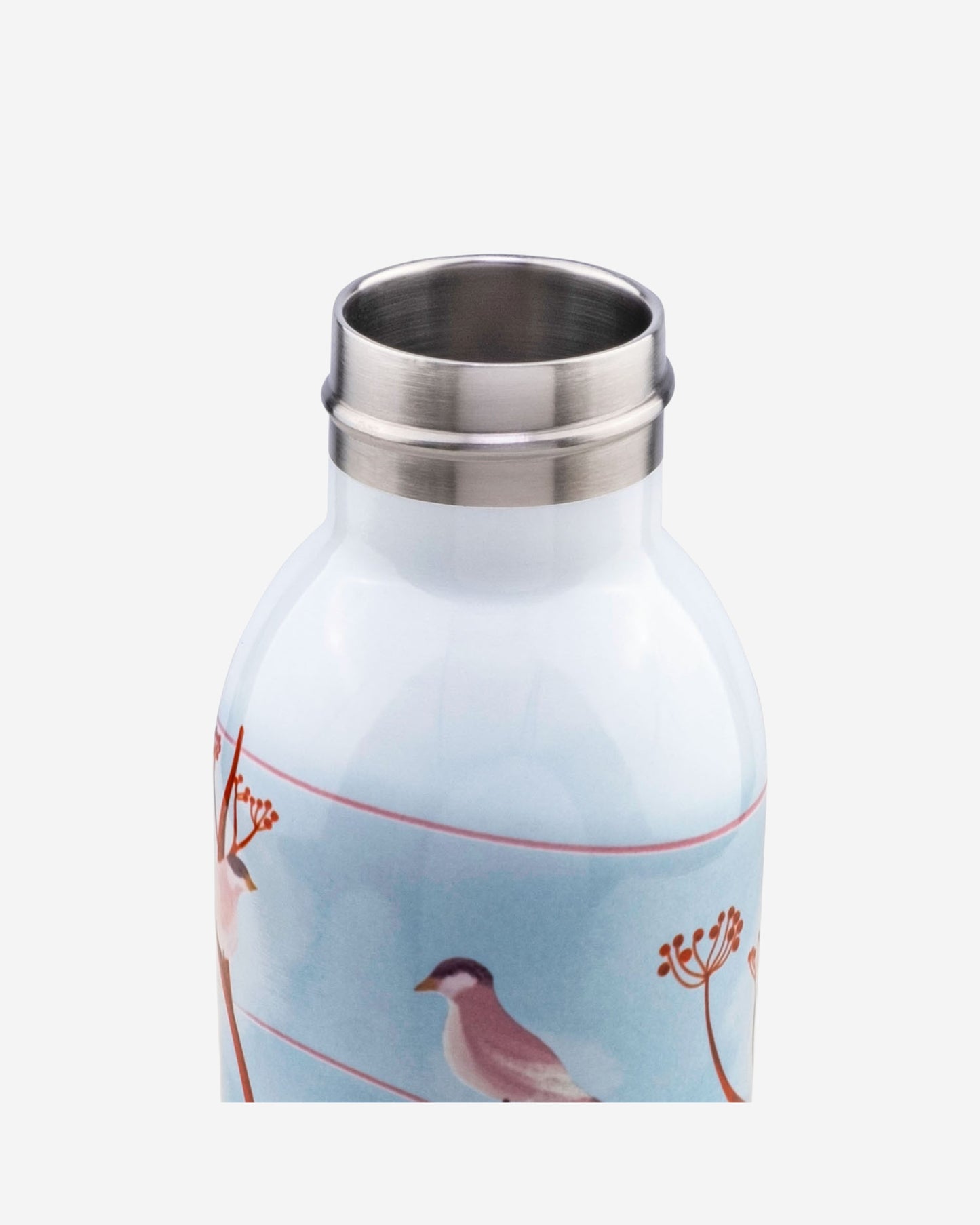 Bugatti Bottle Twin 500 Birds