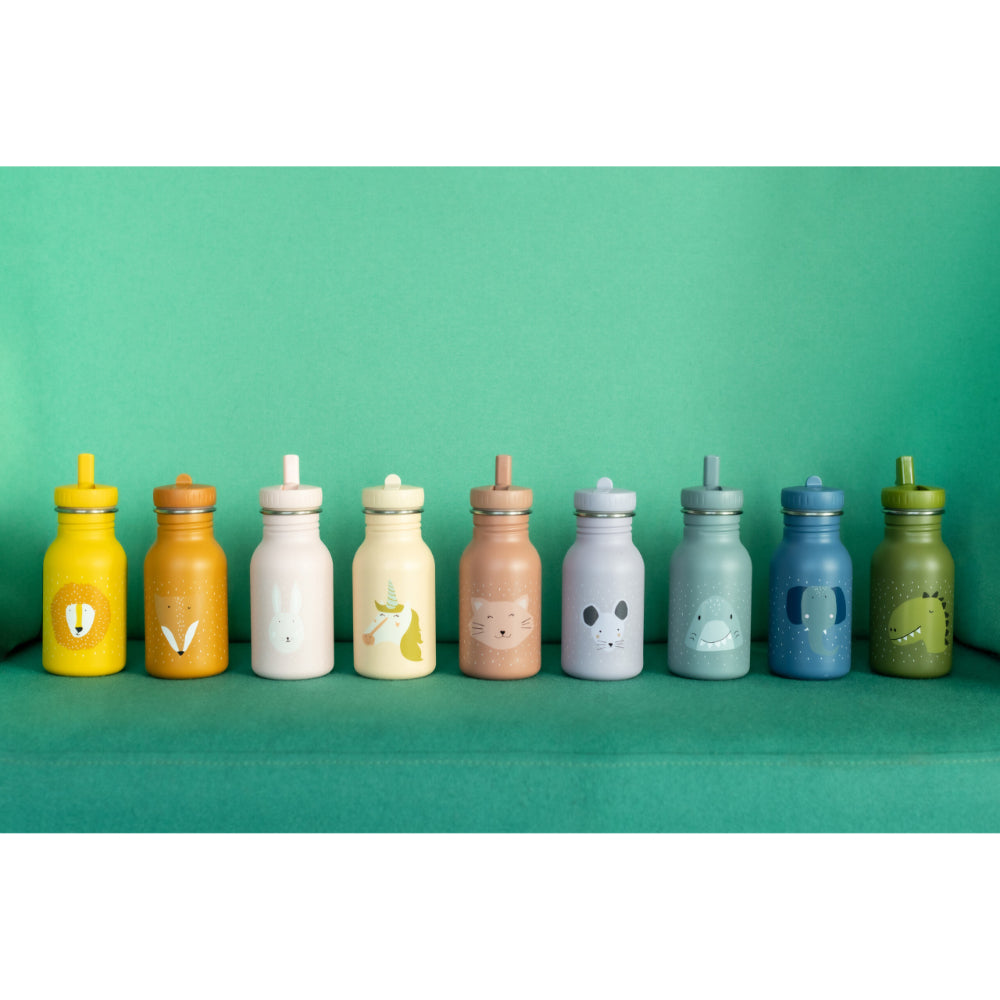 Trixie Water Bottle 350ml Mr Dino