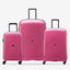 Delsey Paris Belmont Set of 3 Luggage