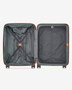 Delsey Paris Securitech Citadel Set of 3 Luggage + Free Agreable Backpack