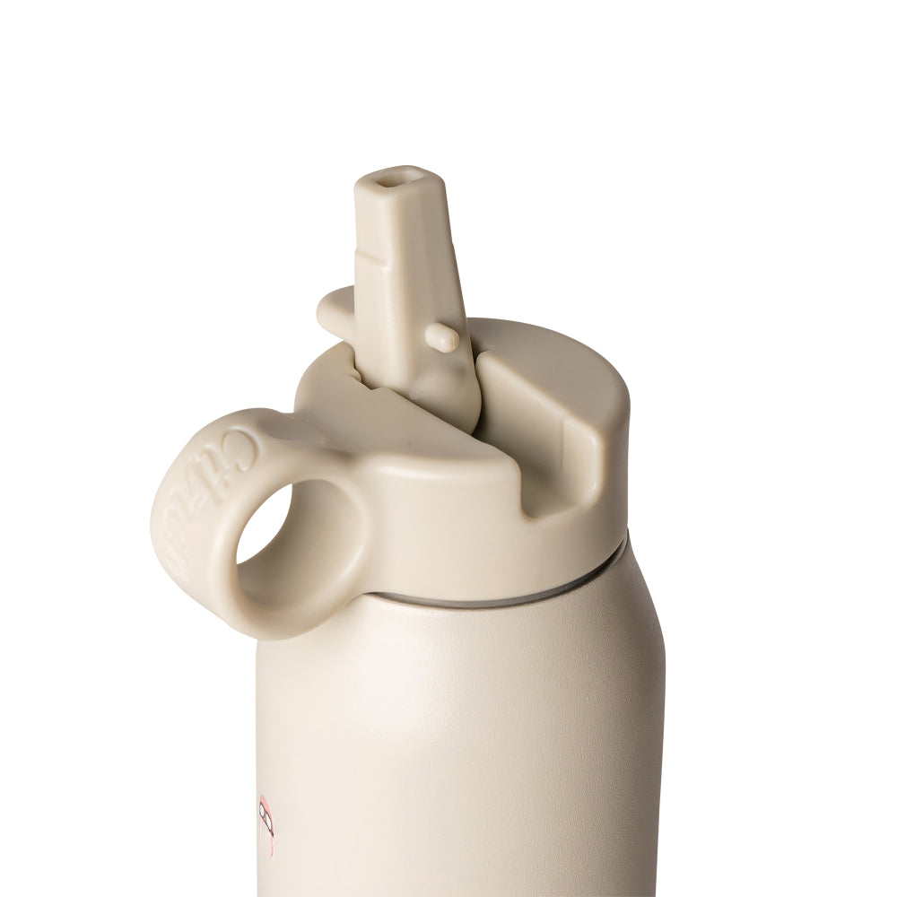 Citron Vehicles Water Bottle 350ml