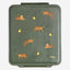 Citron Tiger/Green Grand Lunchbox