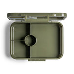 Citron Tiger/Green Tritan Lunchbox