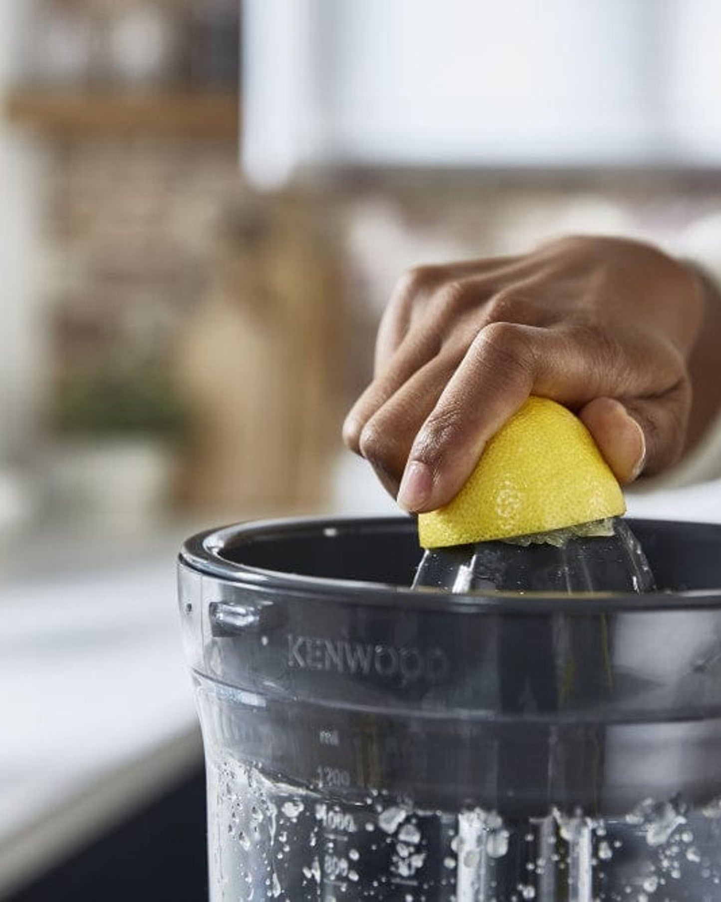 Kenwood Multi-Functional Food Processor