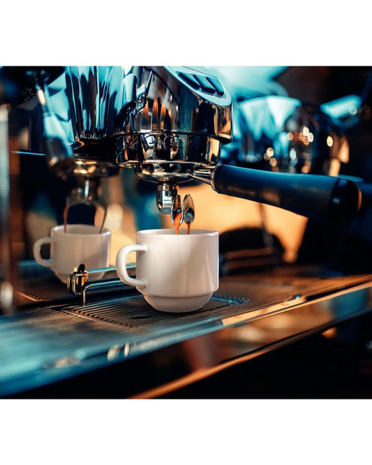 Tramontina Paola 100 ml Porcelain Coffee Cup