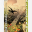 Allegiant : (Divergent Series Book 3)