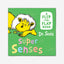 Super Senses : A Flip-the-Flap Book