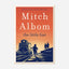 Little Liar : A Novel