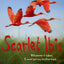 SCARLET IBIS