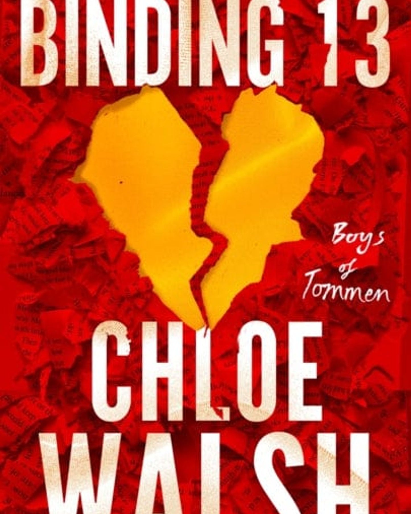 Binding 13 : Epic, emotional and addictive romance from the TikTok phenomenon