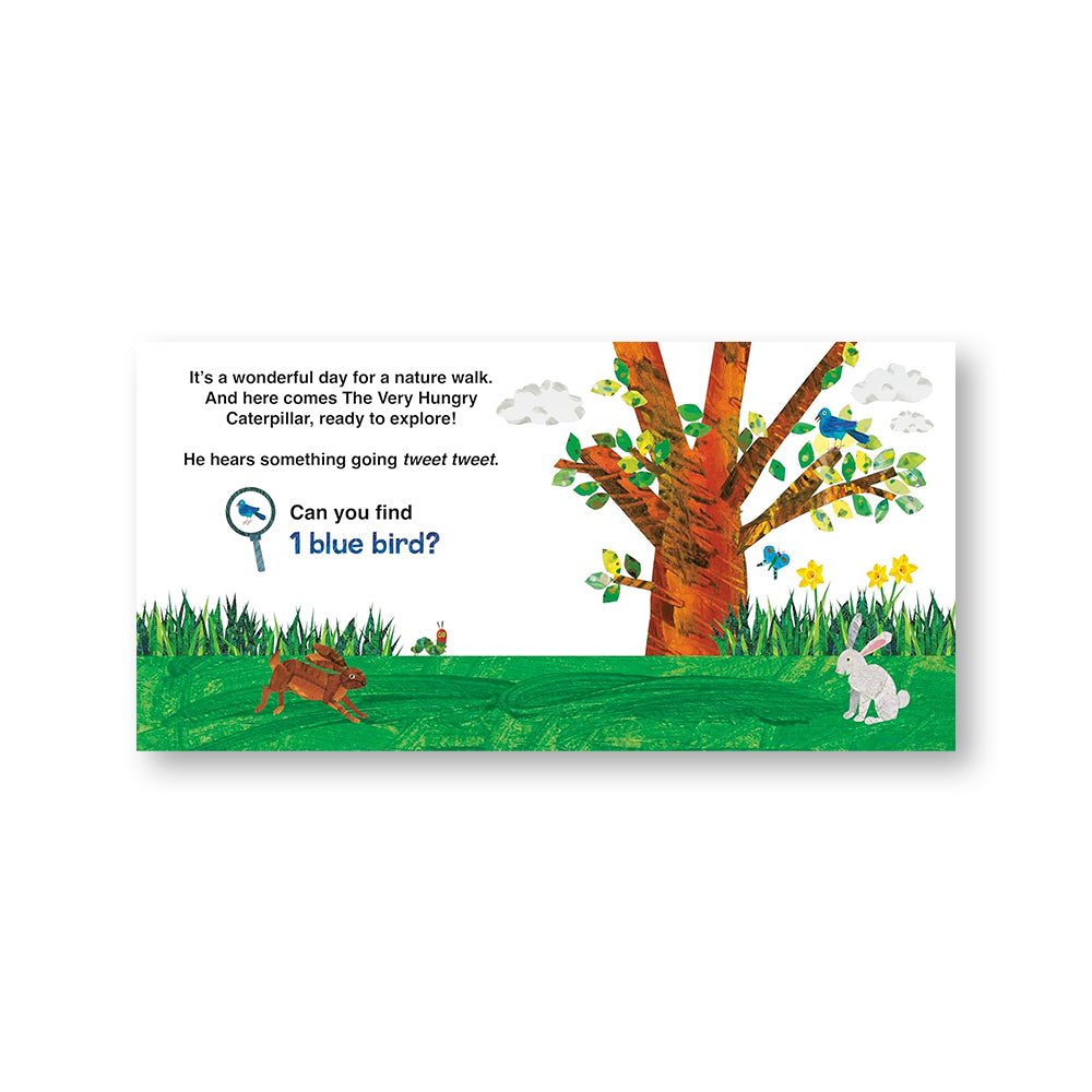 The Very Hungry Caterpillar's Nature Walk : A Search-and-Find Book