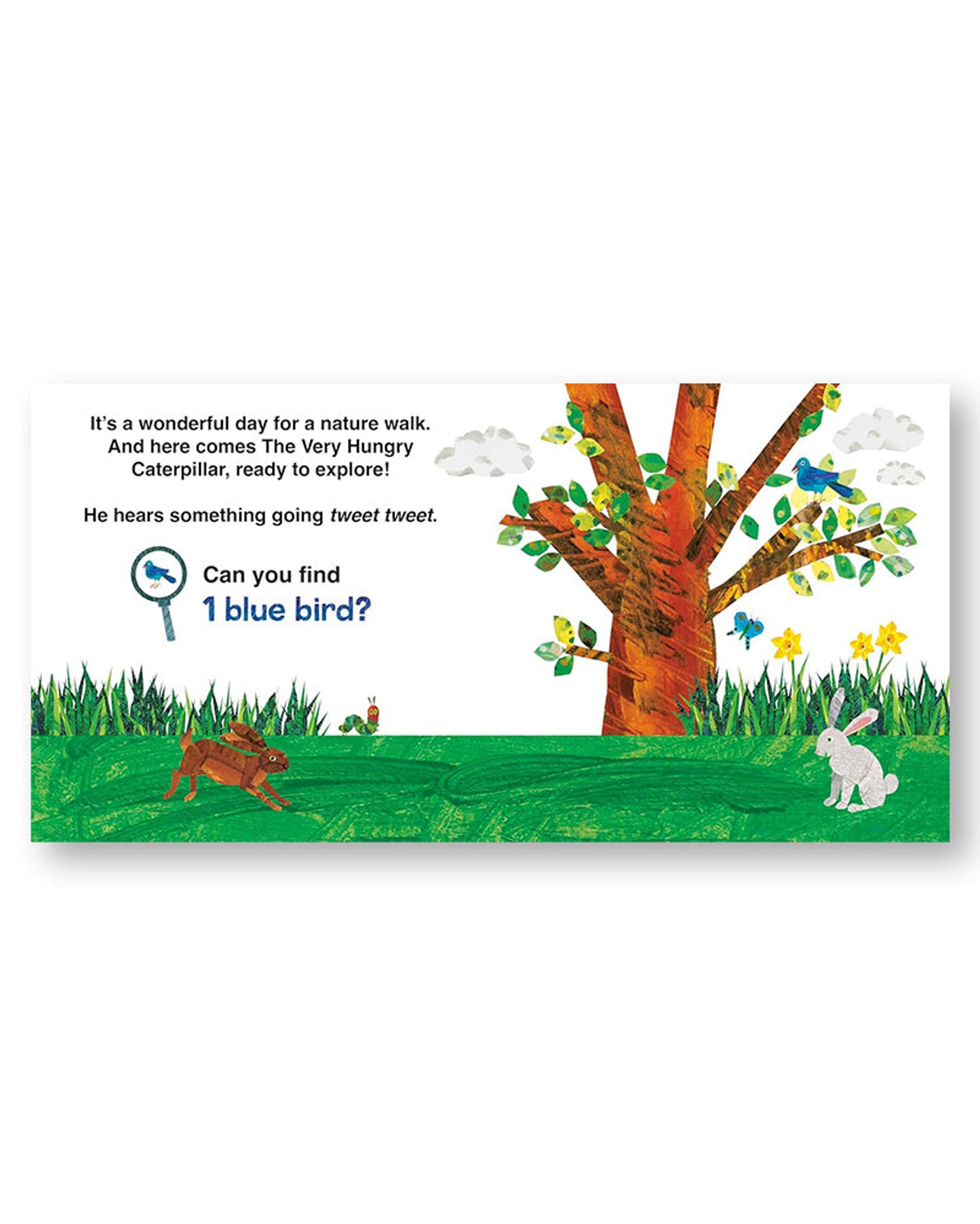 The Very Hungry Caterpillar's Nature Walk : A Search-and-Find Book