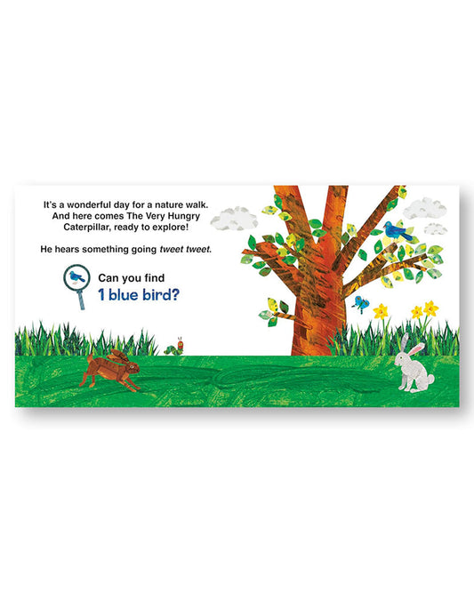 The Very Hungry Caterpillar's Nature Walk : A Search-and-Find Book