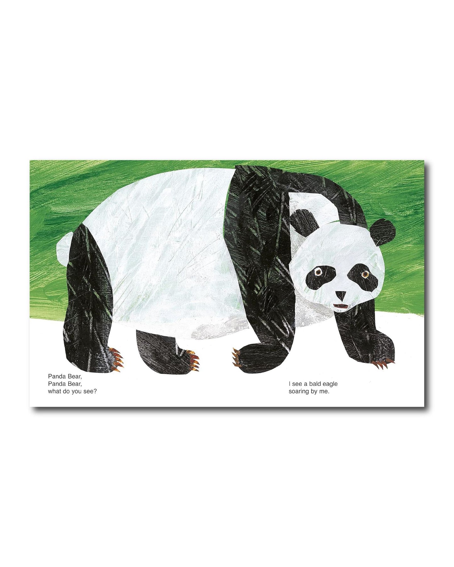 Panda Bear, Panda Bear, What Do You See?