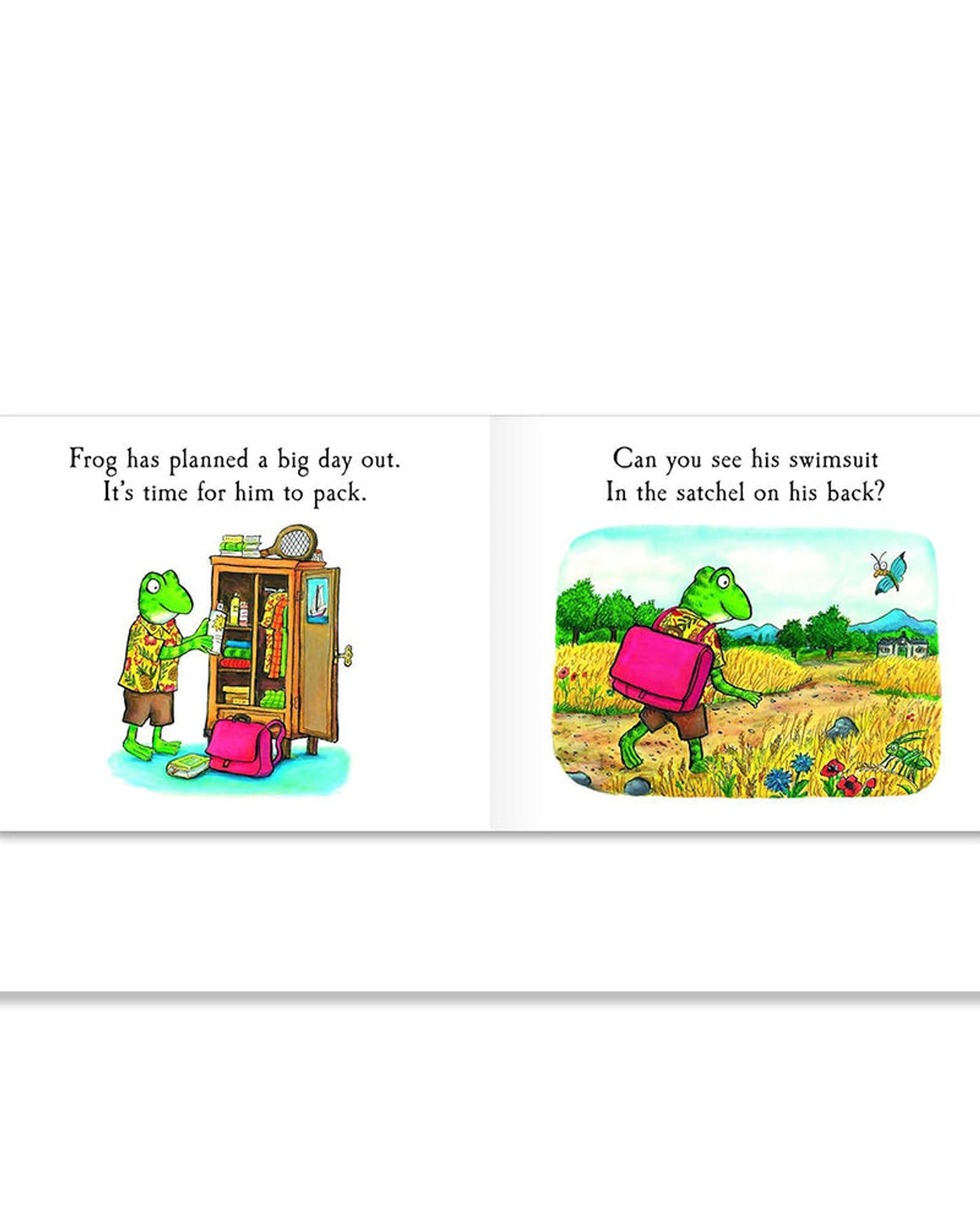 Frog's Day Out : A Lift-the-flap Story