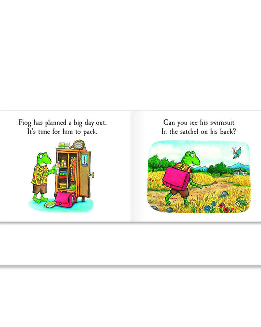 Frog's Day Out : A Lift-the-flap Story