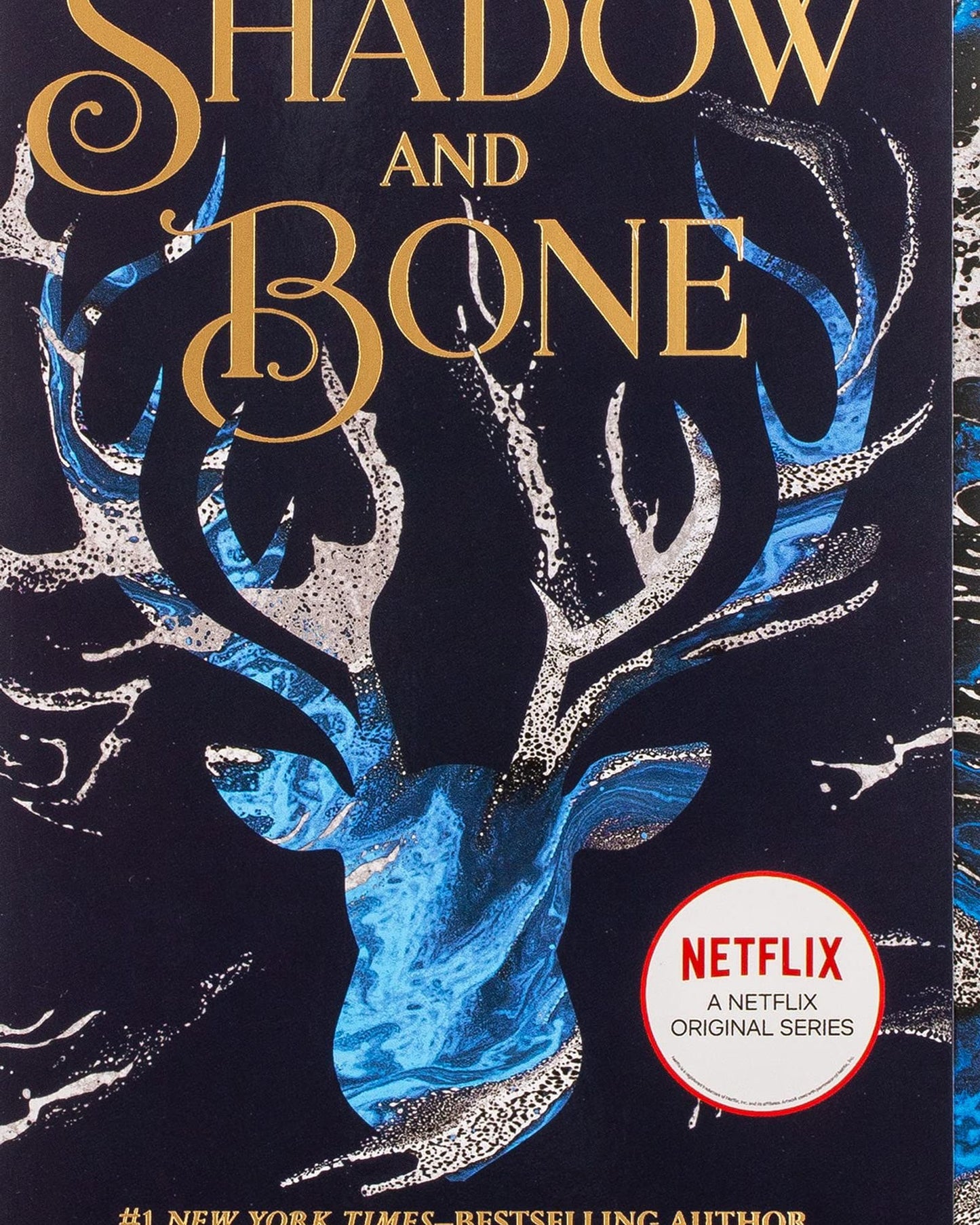 SHADOW AND BONE : 1
